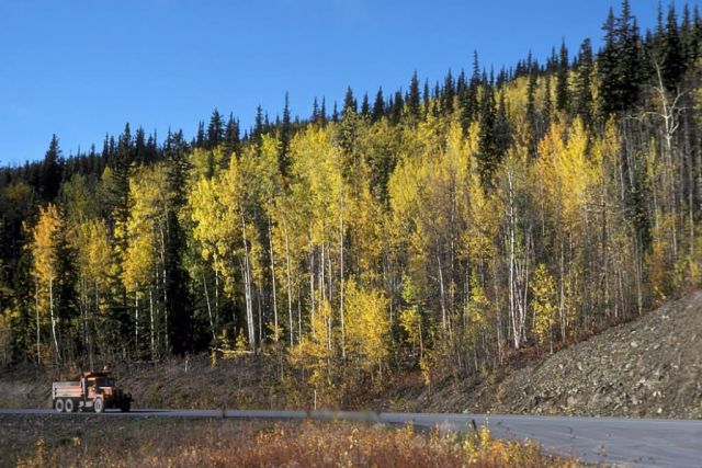 Tetlin National Wildlife Refuge Picture