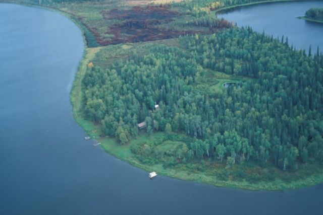 Field Camp with Fuel Reduction Burn Picture