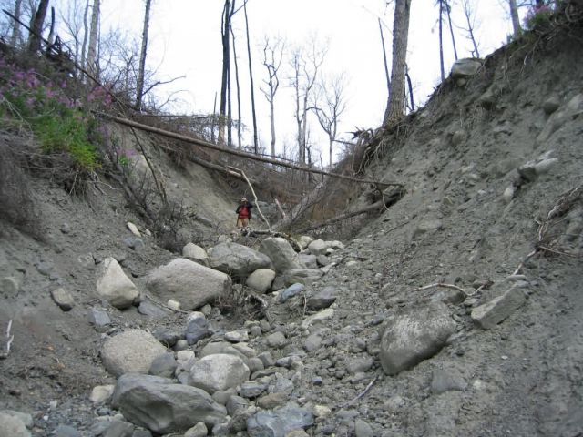 Indian Creek Fire 2004 Picture