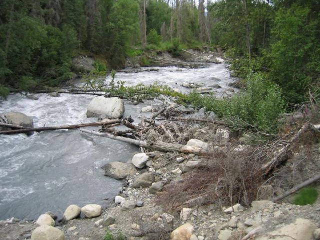 Indian Creek Fire 2004 Picture