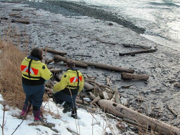 M/V Selendang Ayu Oil Spill Unalaska 2004 Picture