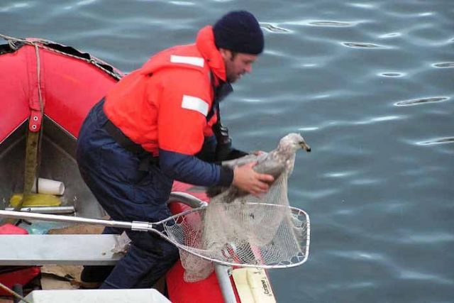 M/V Selendang Ayu Oil Spill Unalaska 2004 Picture