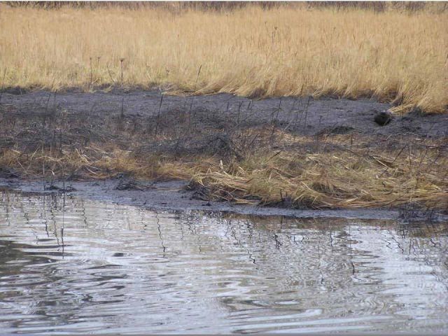 M/V Selendang Ayu Oil Spill Unalaska 2004 Picture