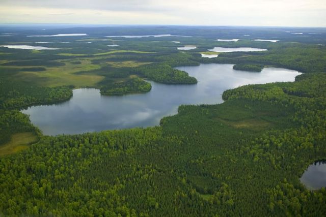 Kenai Refuge Wetlands Picture