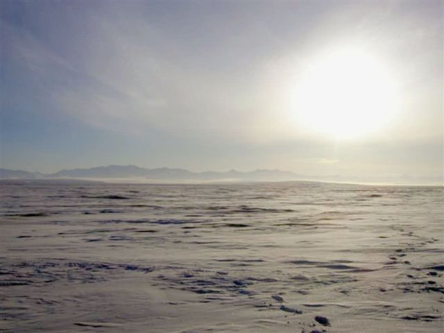 1002 Area on 5 March 2005 Picture