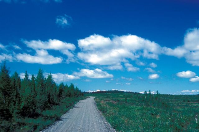 Gravel Road through Kanuti Refuge Picture
