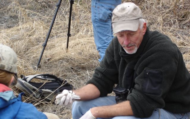 Avian Influenza Sampling Picture