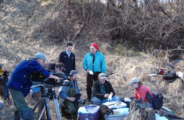 Avian Influenza Sampling Picture
