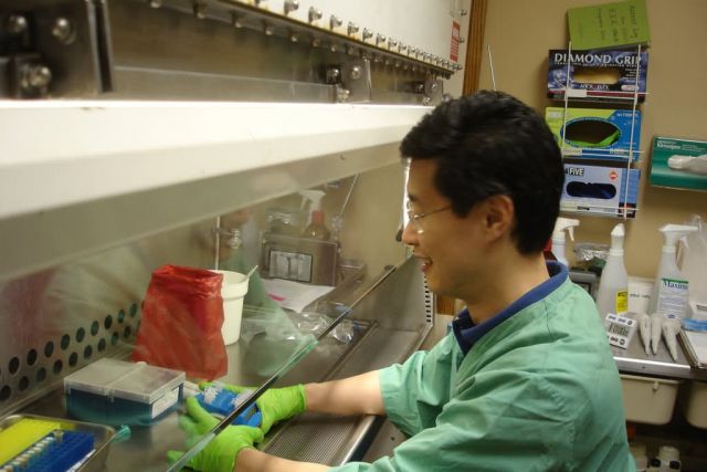 Avian Influenza Analysis Picture