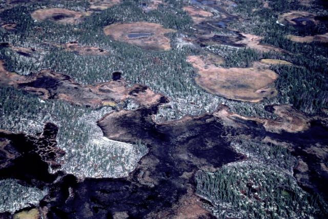 Innoko Basin Habitat Picture