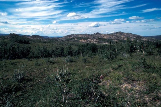 Kanuti Refuge Shrub Thickets and Rock Outcroppings Picture