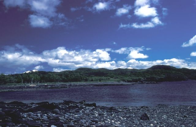 Kodiak Coast in Summer Picture