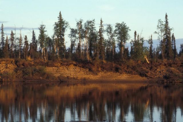 Kanuti Refuge Riverbank Picture