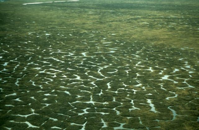 Polygonal Ground Aerial View Picture