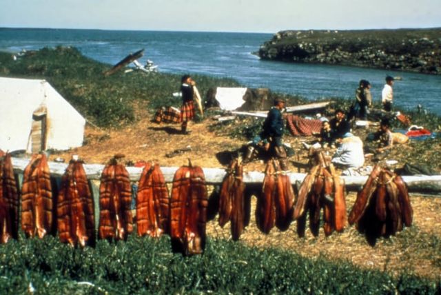 Fish Camp Picture