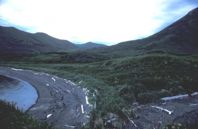Kodiak Shoreline Picture