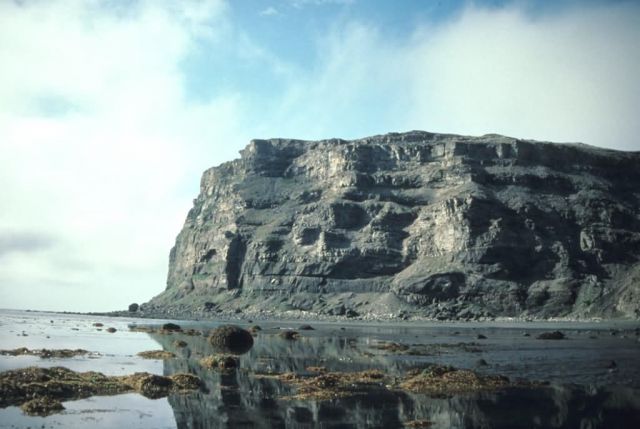 Puale Bay at Low Tide Picture