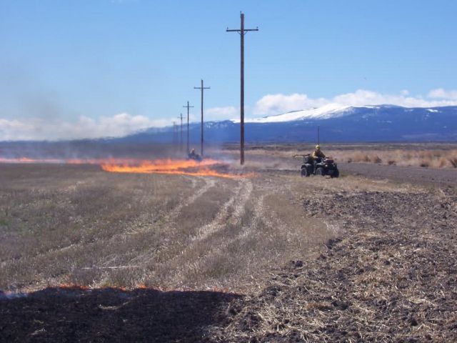 Leaseland burning at Tule Lake NWR. Picture