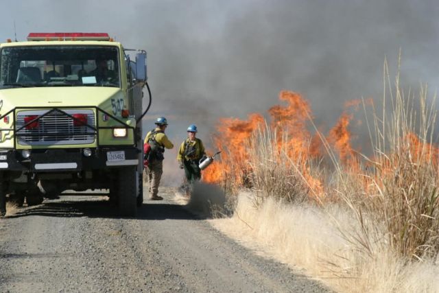 Marsh burning at Modoc NWR. Picture
