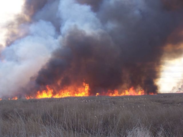 Marsh burn at Tule Lake NWR 2005. Picture