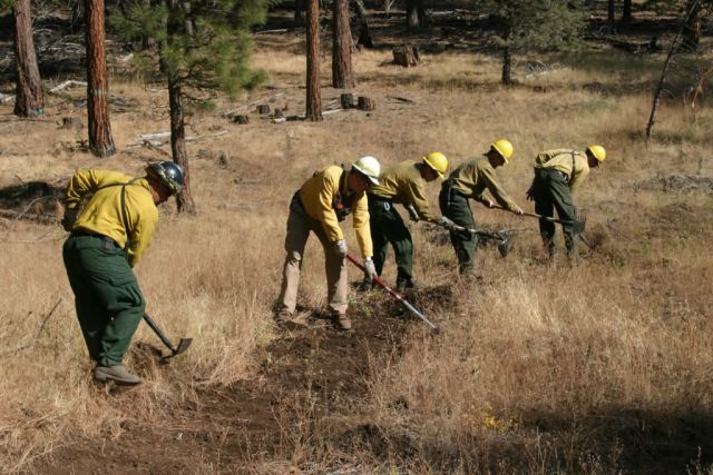 r8-or-bvr-crew prrpares line before burn Picture