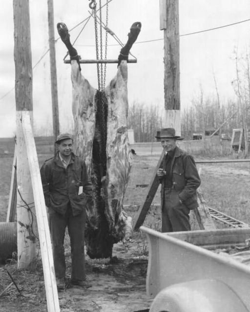 Harold Ervin and Frank Glaser with Dressed-out Bison Picture