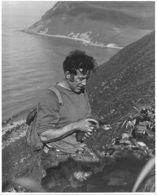 Dave Spencer with Aleutian Canada Gosling on Buldir Picture