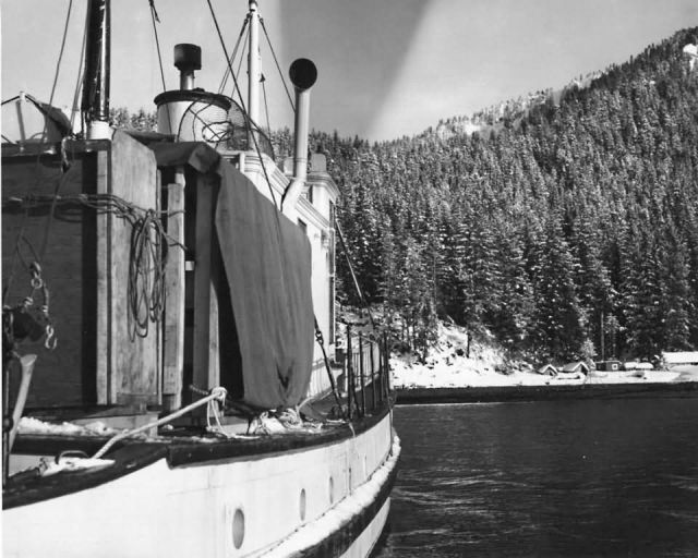 Southeast Alaska Deer Trapping Operation Picture