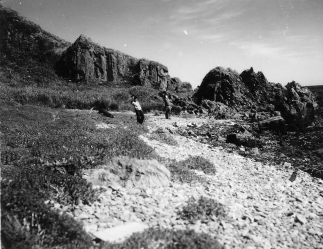 Servicemen Hiking on Attu Island Picture