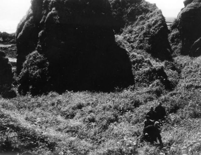 Servicemen Hiking Through Brush on Attu Island Picture