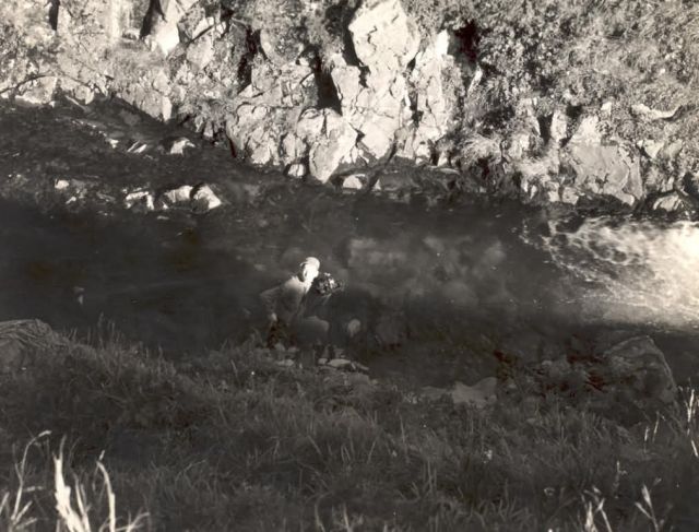 FWS-Halter-060 Picture