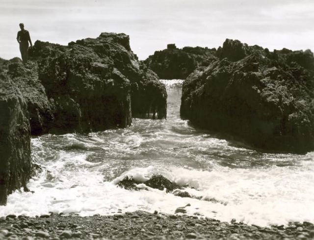 Rocks and Water at Island Shoreline Picture