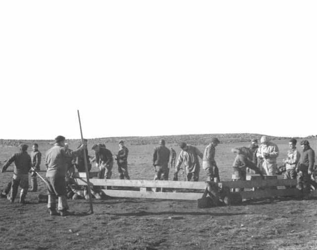 Seal Tagging Operation at Reef Rookery, St. Paul Island Picture