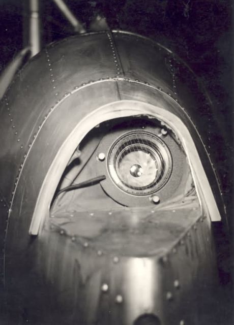 FWS-Halter-082 Picture
