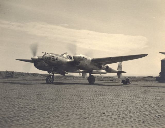 FWS-Halter-087 Picture