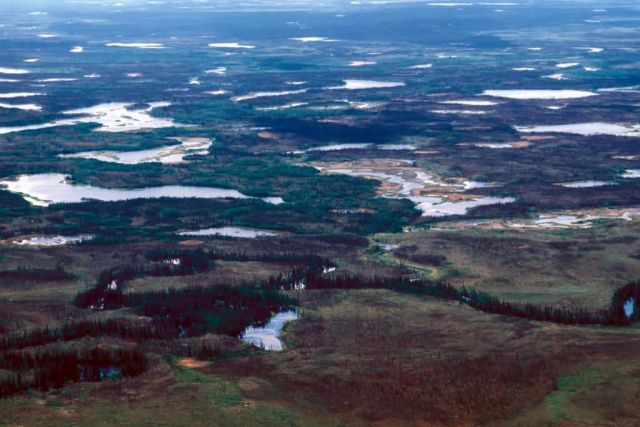 Kanuti Refuge Wetlands Picture