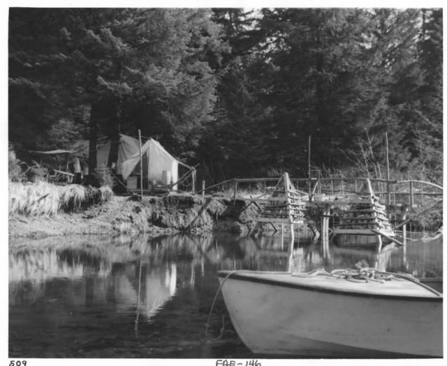 Migrant Station, Katlian Bay Picture