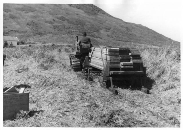 Hauling Karluk Lake Weir Picture