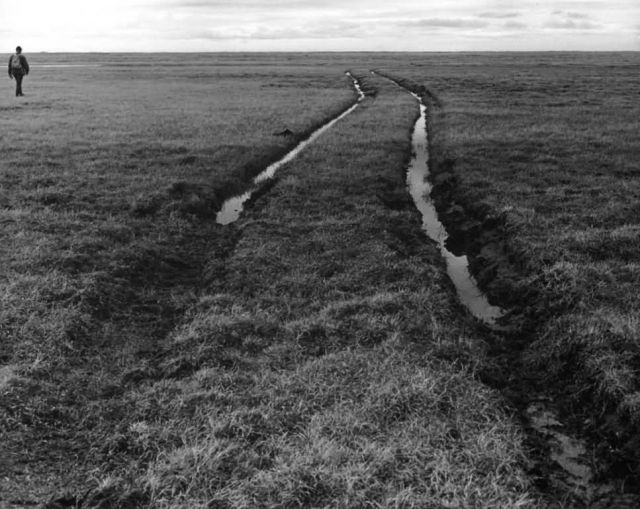 Tundra Damage Northwest of Prudhoe Bay Picture