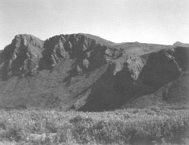 FWS-Halter-111 Picture