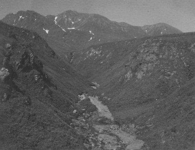 FWS-Halter-112 Picture