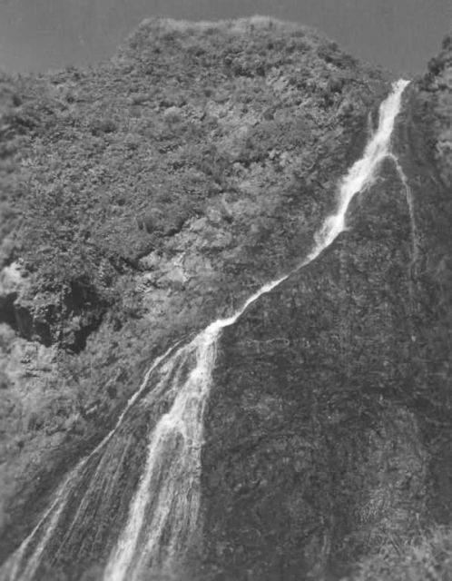 FWS-Halter-115 Picture