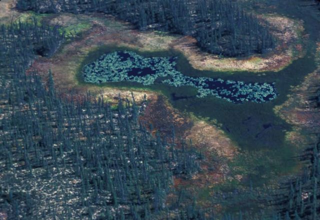 Innoko Refuge Wetlands - Aerial View Picture