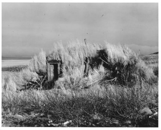Izembek, Cathedral Valley Sod House Remains Picture