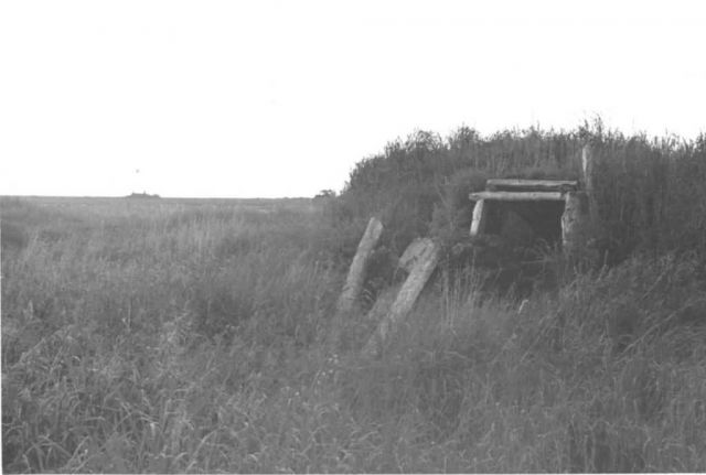 Sod House Remains on Tundra Picture