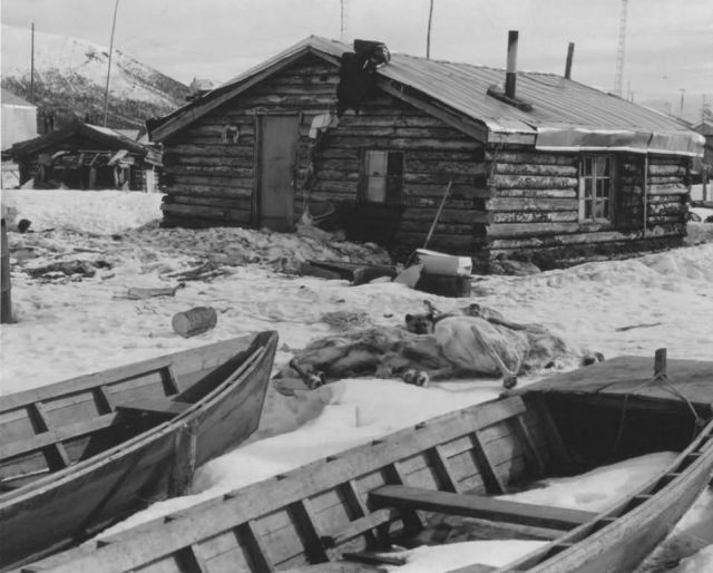 Kobuk Village Scene Picture