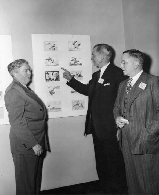 Clark 1951 Duck Stamp Contest Picture