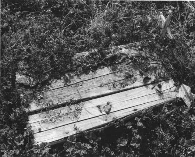 Coffin at Mountain Village, Yukon Delta Picture