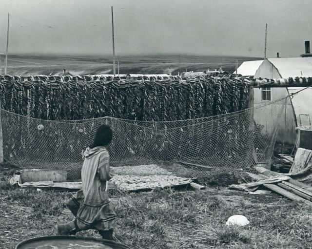 Tununak Fish Racks Picture