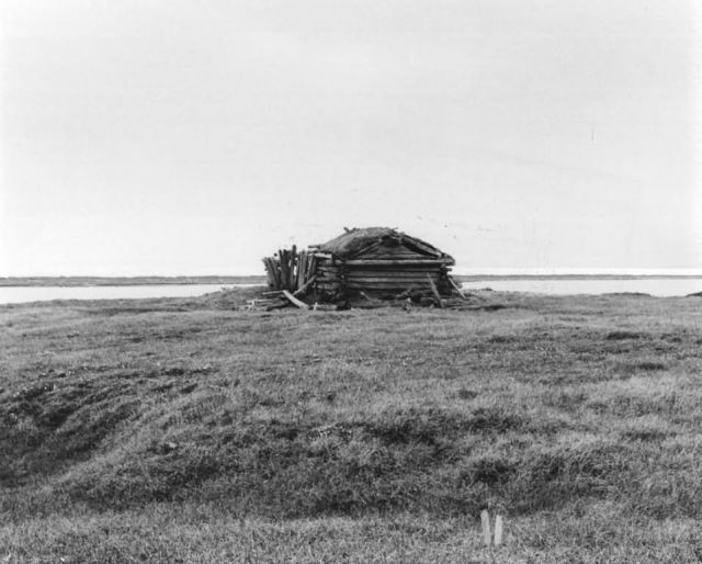 Cabin on Tundra Picture